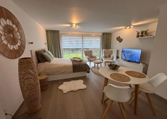 Studio Amour Met Tuintje Nabij Strand Hond Welkom Blankenberge Foto